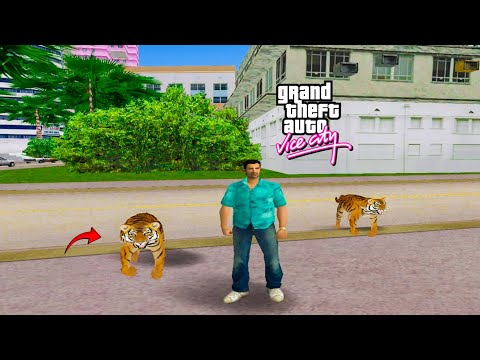 Tiger Bodyguard