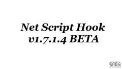 Net Script Hook v1.7.1.4 [Beta] для GTA 4
