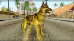 Dog Skin v1