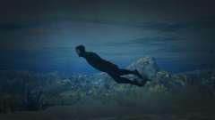 Diving Motion 1.4 для GTA 5