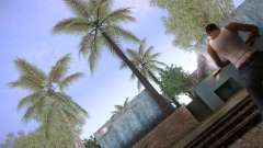 CamHack v1.2