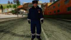 ДПС Скин 1
