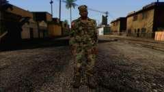California National Guard	 Skin 3