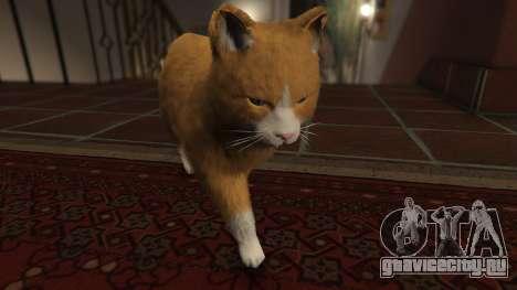 Mogie The House Cat для GTA 5