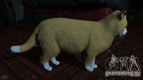 Mogie The House Cat для GTA 5