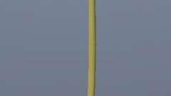Gold Katana для GTA Vice City
