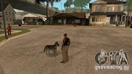 Собака в GTA San Andreas для GTA San Andreas