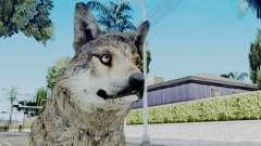 Wolf