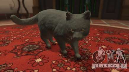 Gray House Cat для GTA 5