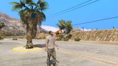 Утренняя звезда из The Last Remnant для GTA 5