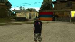 New Armenian Skin