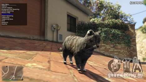 Simple Trainer 5.3 для GTA 5