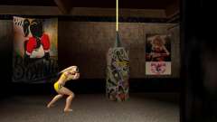 New GYM texture для GTA San Andreas