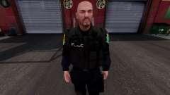Piloto do CIOPAER (Pilot CIOPAER) для GTA 4